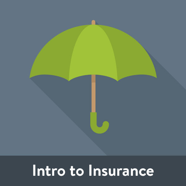 iamt icon 18 title insurance