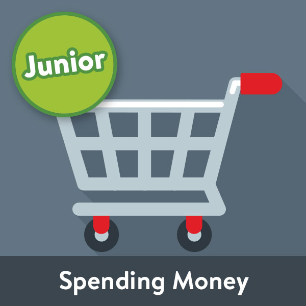 iamt icon jr2 spending money